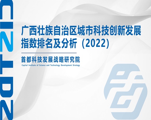 我要看免费的操逼大片【成果发布】广西壮族自治区城市科技创新发展指数排名及分析（2022）